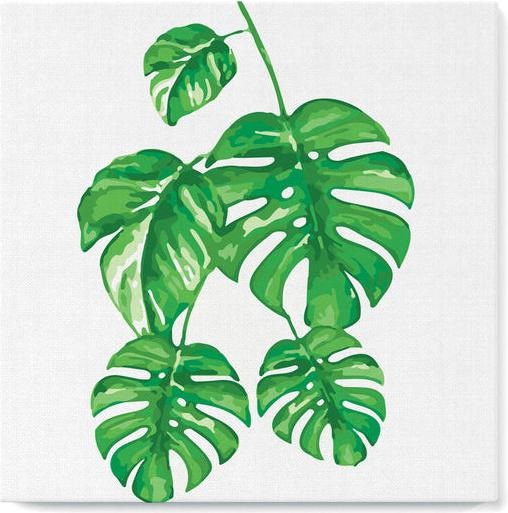 Actual product image Figured'Art Mini Paint by Numbers framed - Monstera Leaves