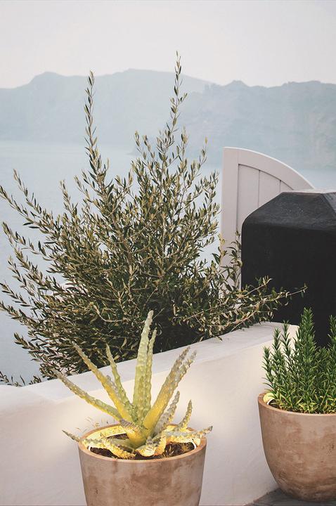 Immagine prodotto Herstera Neon Led Plant Pots