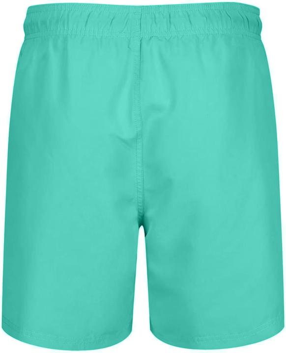 Actual product image Ript Essentials Mens Swim Shorts (XXL)