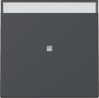 Actual product image Gira Rocker control f.