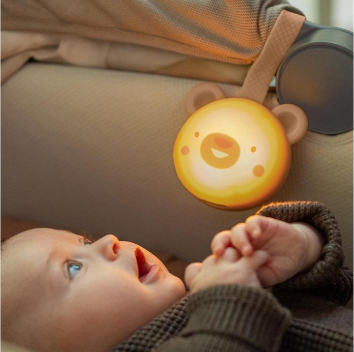 Immagine prodotto Taf Toys DreamBear