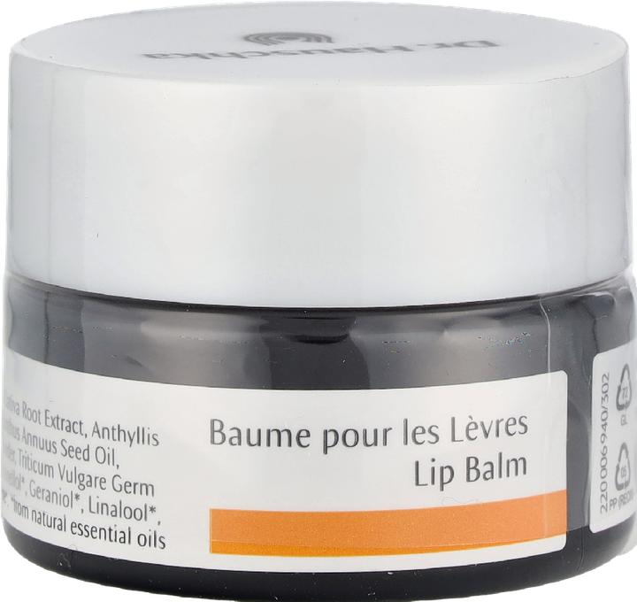 Actual product image Dr. Hauschka lip cosmetic (Lip balm, 4.50 ml)