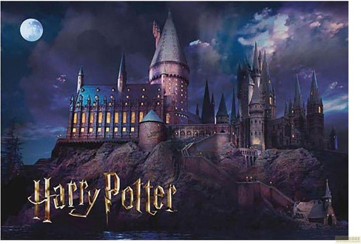 Actual product image Thumbs Up Harry Potter Hogwarts School (1000 pieces)