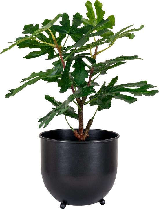 Produktbild House Nordic Fig (60 cm)