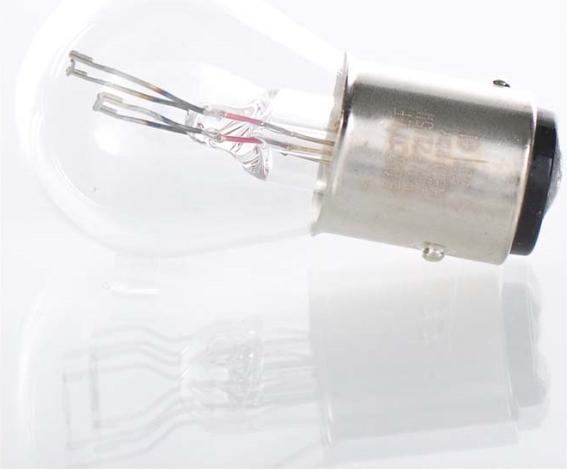 Actual product image Bosch Home & Garden GLL P21/5W Longlife