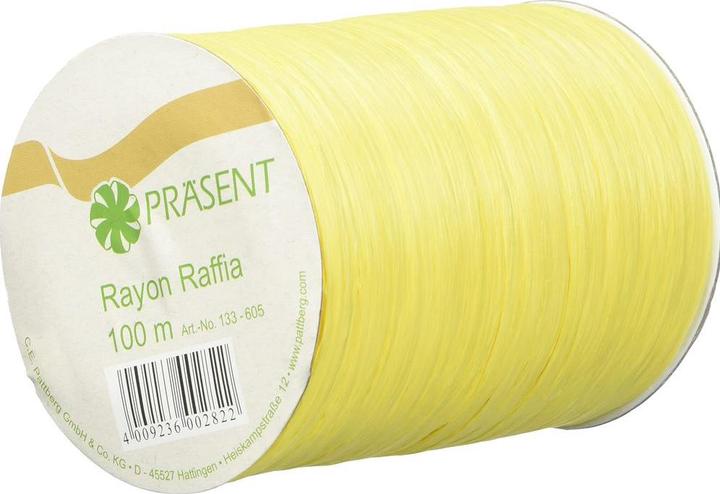 Produktbild Pattberg Raffia-Bastband Rayon (1x)