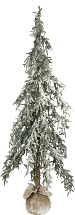 Actual product image Decofinder Weeping spruce H: 220 cm (220 cm)
