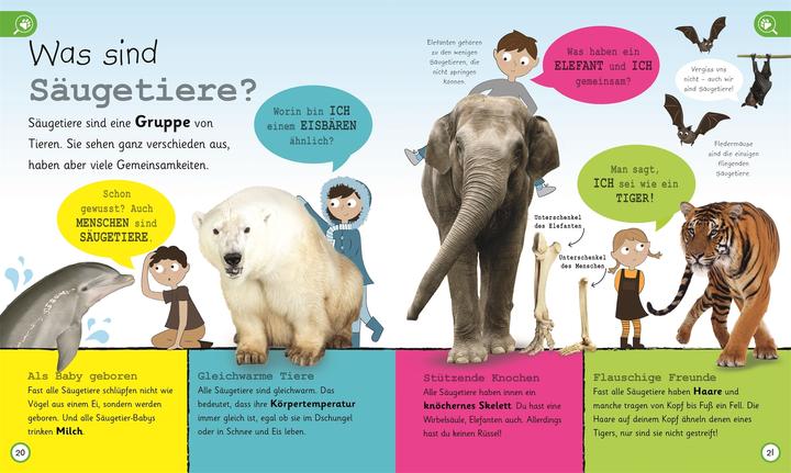 Produktbild Was weisst du über Tiere? (Deutsch, DK Verlag - Kids, Frauke Bahle, 2018)