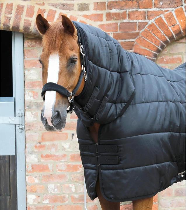 Image du produit Premier Equine 100 g (191 cm)