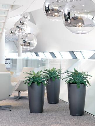 Immagine prodotto Lechuza Rondo (40 x 75 cm)