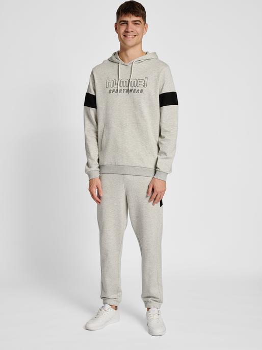 Actual product image hummel hmlLGC BRYCE HOODIE (L)