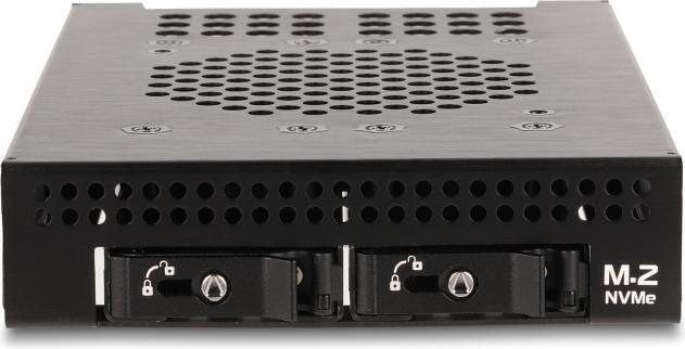 Actual product image Delock 3.5? Removable frame for 2 x M.2 NVMe SSD with Slim SAS