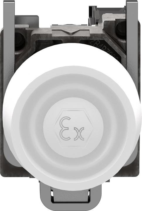 Actual product image Schneider Electric Pushbutton XB4BPS11EX