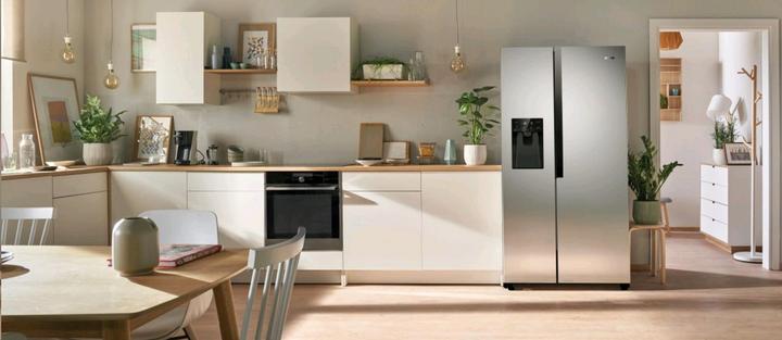 Actual product image Gorenje Nrs9evx (562 l)