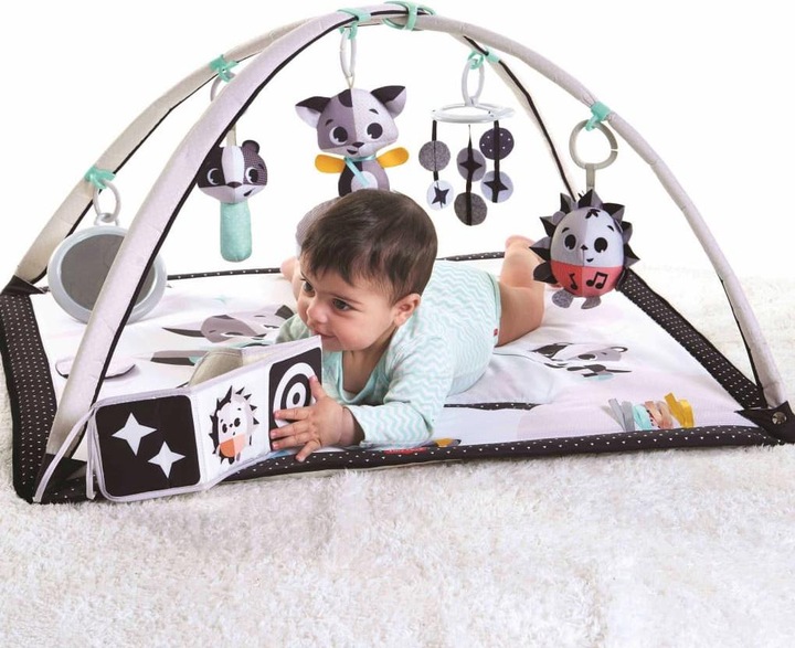 Actual product image Tiny Love Gymini Magic Tales
