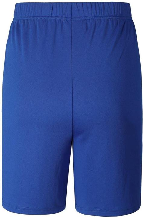 Bleu roi