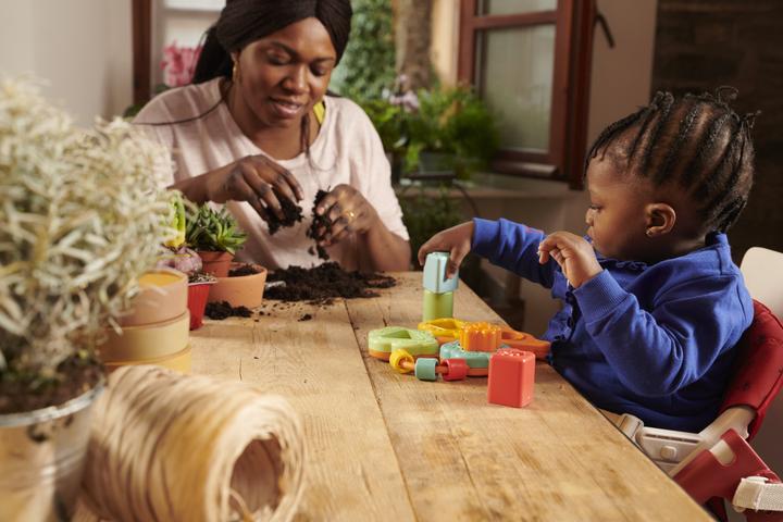 Immagine prodotto Chicco Sorter di forma Baobab - Eco+