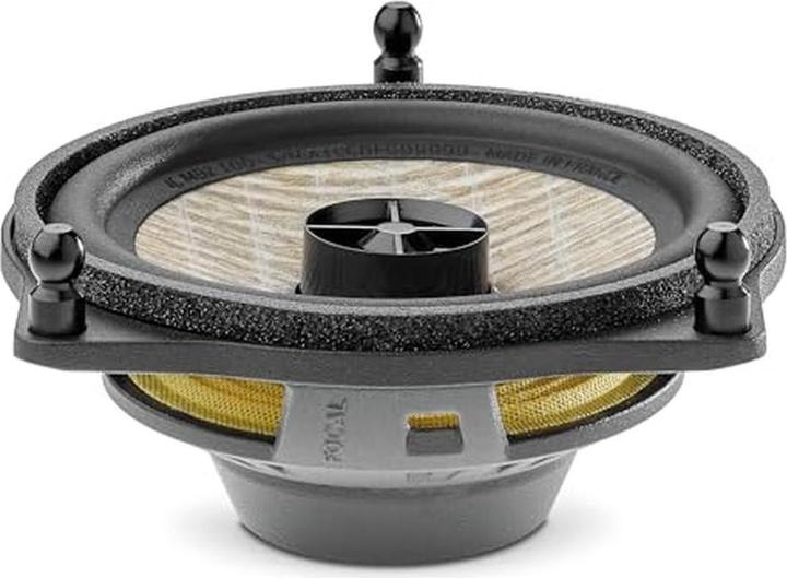 Actual product image Focal IC MBZ 100 (80 W, 10 cm)