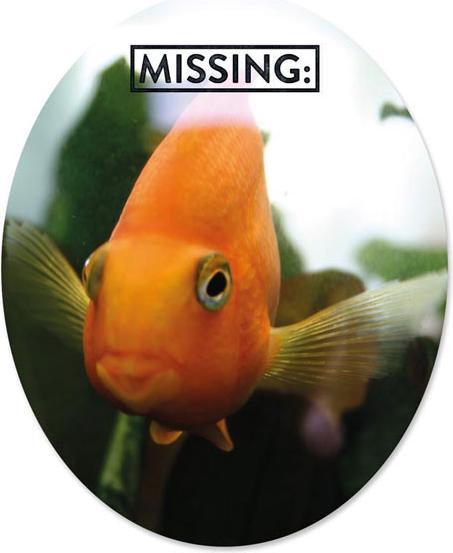 Produktbild Familie von Quast Klodeckelaufkleber - Toilet Sticker Fish Missing