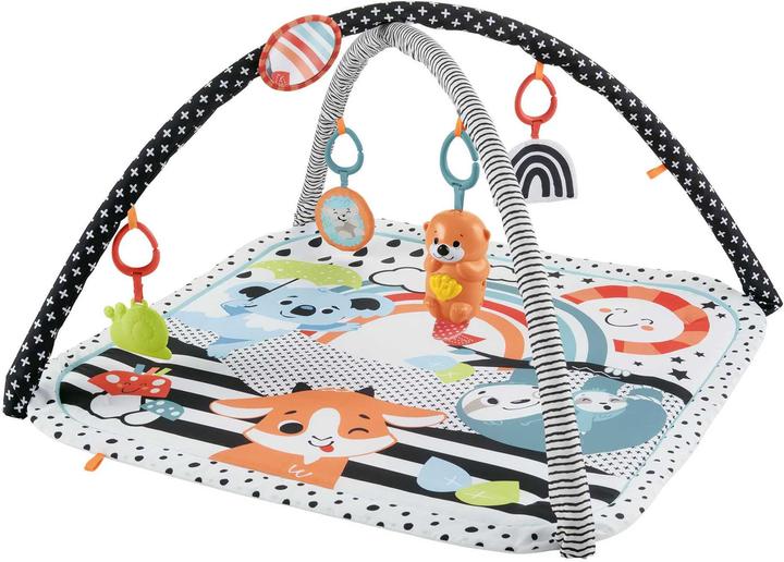 Actual product image Fisher-Price Animal Friends Contrast Play Blanket