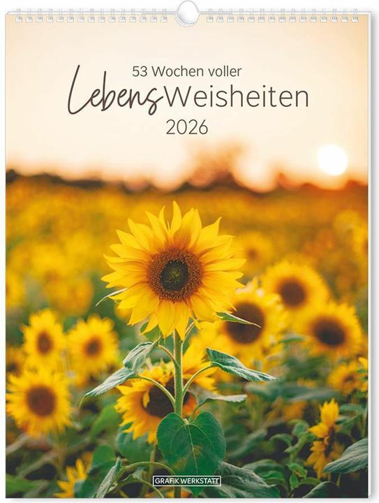 Wochenkalender 2026 LebensWeisheiten (240 x 320 mm, Hardcover, German)