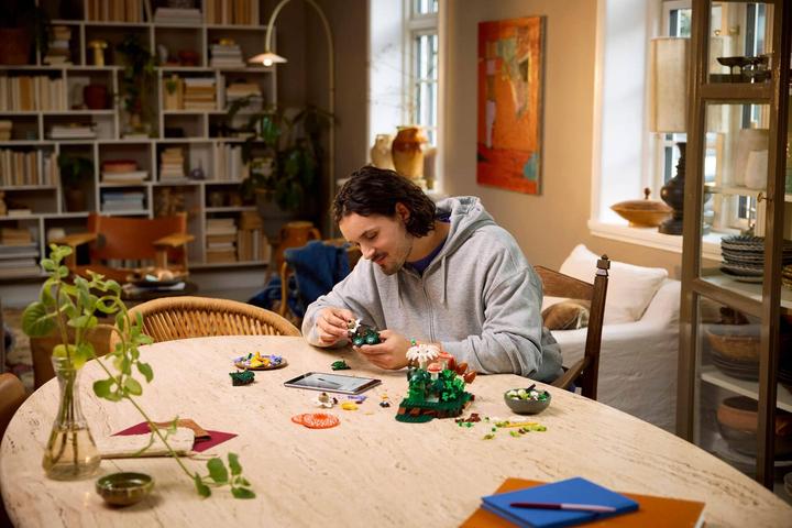 Produktbild LEGO 11505 Waldpilze (LEGO Botanicals)