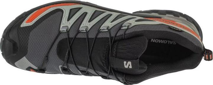 Image du produit Salomon XA Pro 3D V9 GTX (42 2/3)