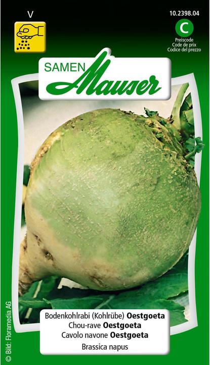 Image du produit Samen Mauser Chou-rave au sol Chou-rave Oestgoeta (Graines de légumes)