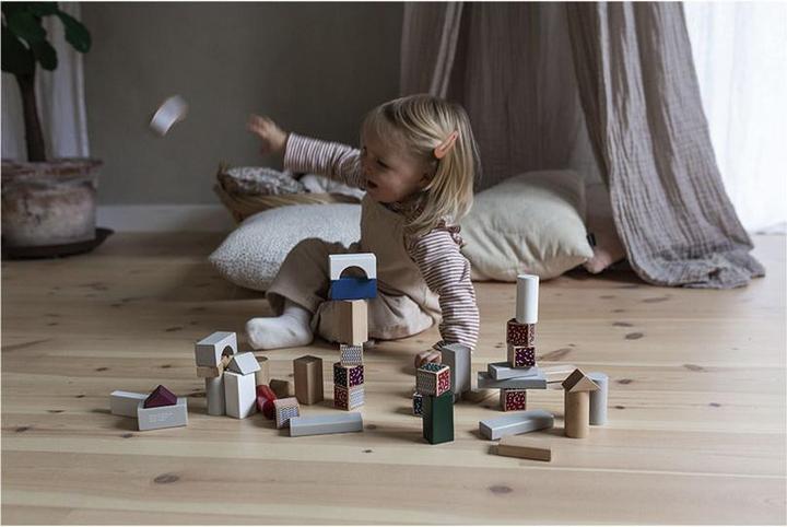 Image du produit Micki 40 blocs de construction
