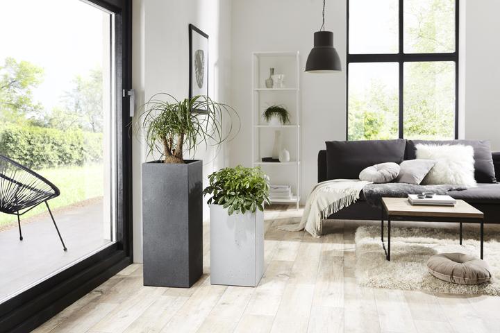Produktbild Scheurich C-Cube High (28 cm)