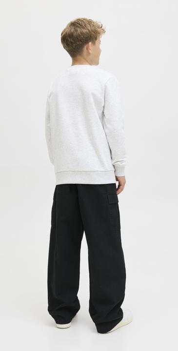 Actual product image Jack & Jones Jpstowen Fctry Fabric1 L2 Cargo Pant Jnr (134)