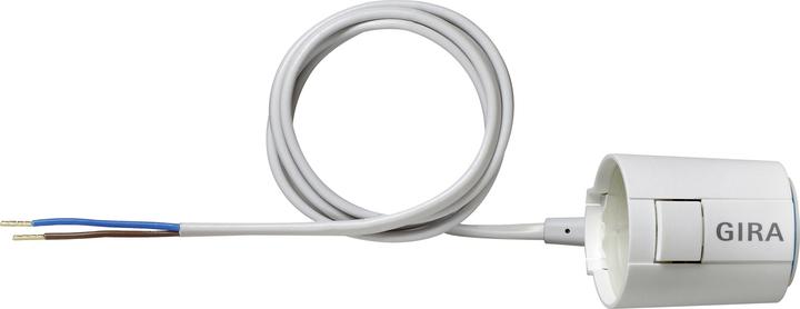 Actual product image Gira Therm.