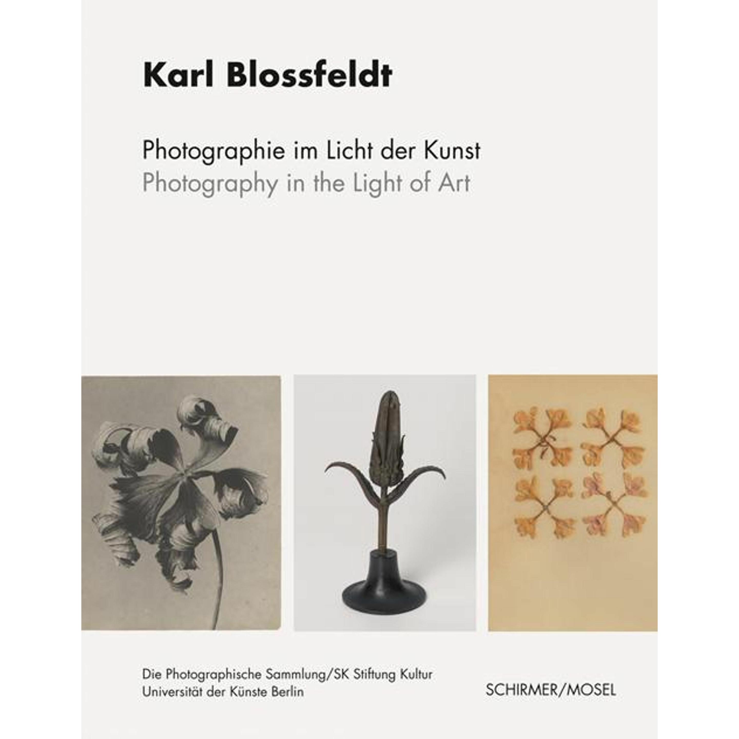 Blossfeldt:Photographie im Licht der Ku, Sachbücher von Karl Blossfeldt