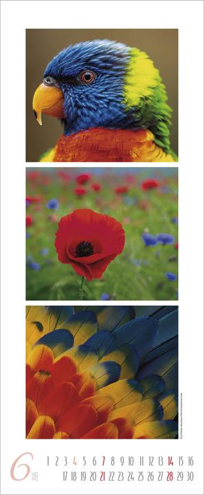 Produktbild Colour Triplets 2026