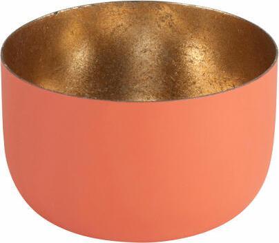 Light Coral, nudegold