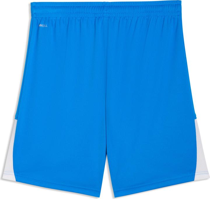 Produktbild Puma teamLIGA26 Shorts (S)