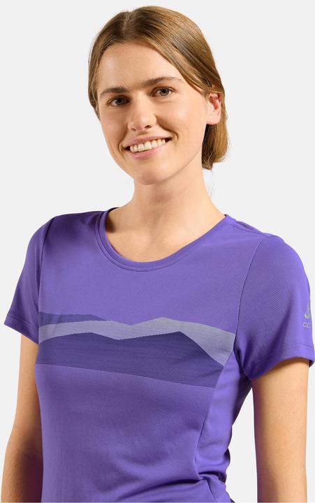 Actual product image Odlo F-Dry Ridgeline (L)