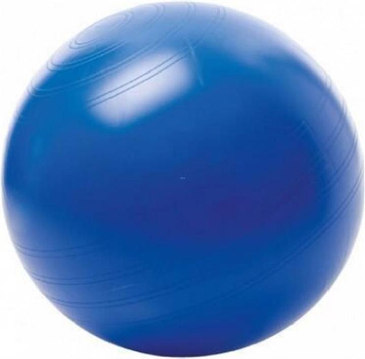 Produktbild Togu Sitzball (55 cm)