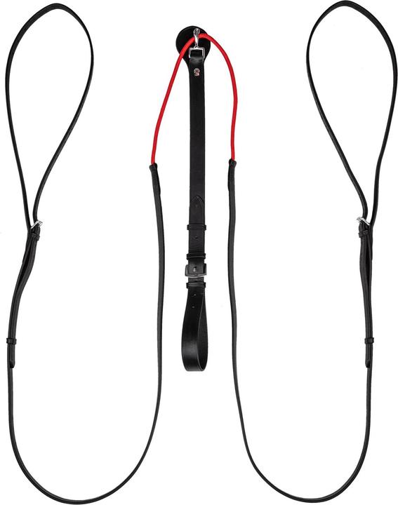 Image du produit Waldhausen W-trainRein