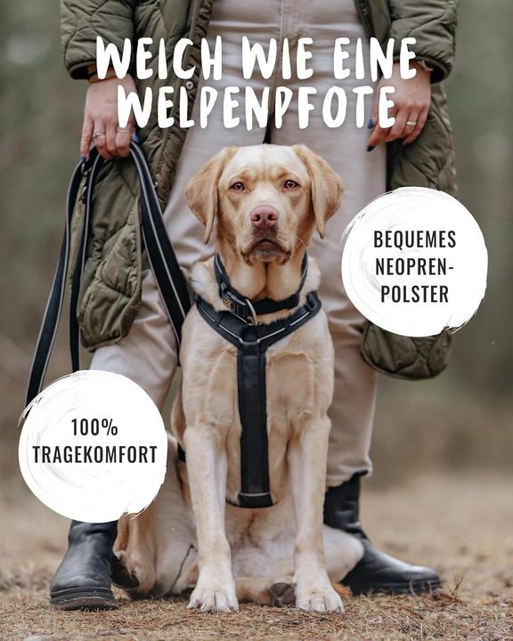 Image du produit Rudelkönig Hundegeschirr Paola mit Reflektoren und Haltegriff (S, Chien, Général, Promenade)