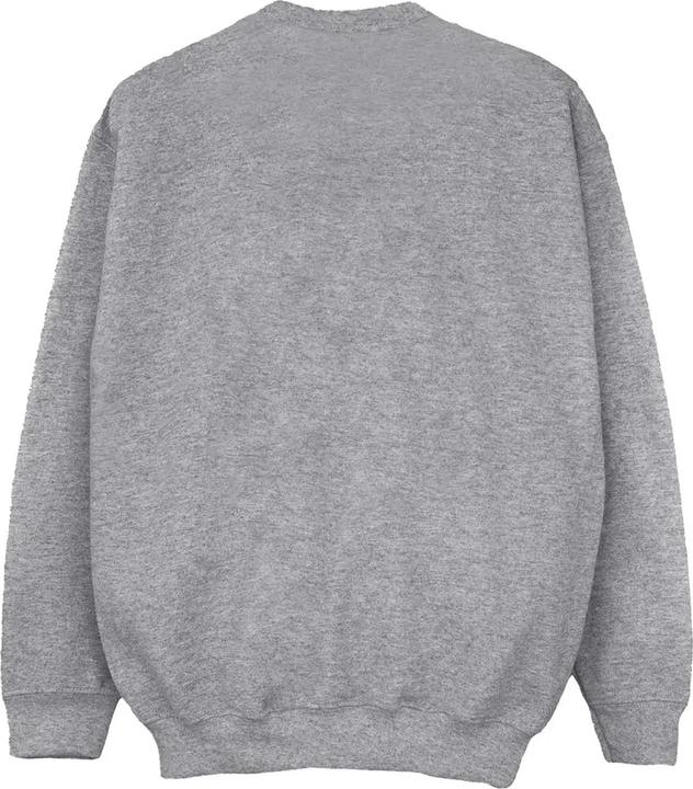 Produktbild Guardians Of The Galaxy Volume 3 Sweatshirt (3XL)