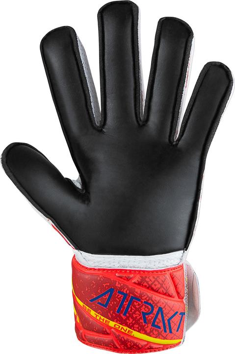 Image du produit Reusch Attrakt Solid Handschuhe (8)