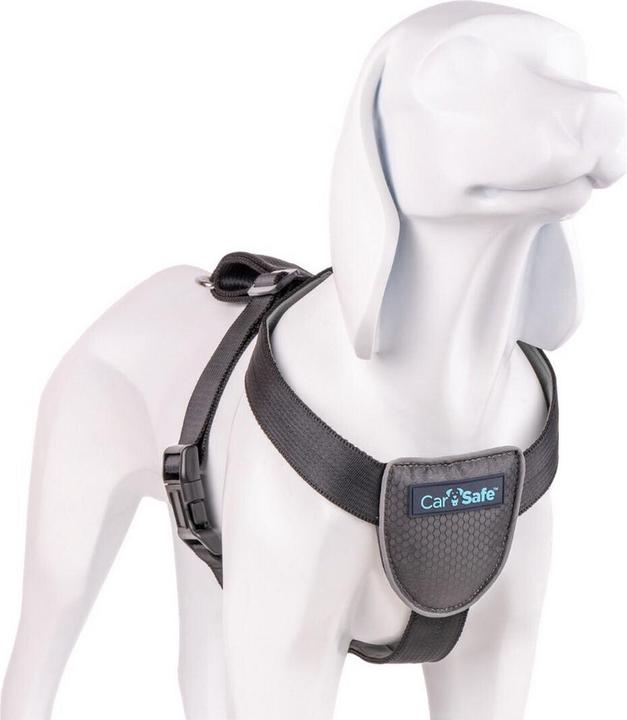 Actual product image Company of Animals CarSafe Autogeschirr (Dog)