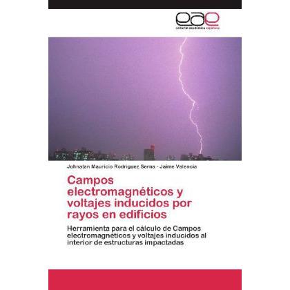 Campos electromagnéticos y voltajes inducidos por rayos en edificios, Fachbücher