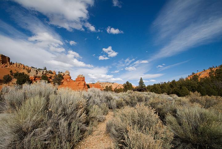 Produktbild Tamron SP AF 10-24mm f/3.5-4.5 Di II LD (IF), Sony (Sony A, APS-C / DX)