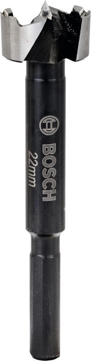 Actual product image Bosch Professional Zubehör Forstner bit (22 mm)