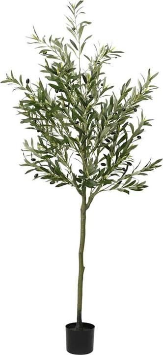 Immagine prodotto vidaXL künstlicher Olivenbaum (180 cm)