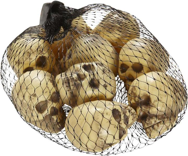 Actual product image Widmann Skulls on the net (9 Piece)