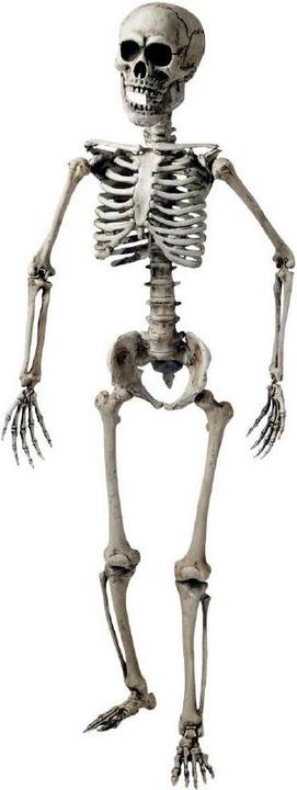 Actual product image Widmann Skeleton life size (1 pcs.)