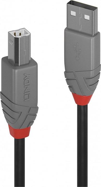 Productafbeelding Lindy USB A-Usb B (5 m, USB 2.0)